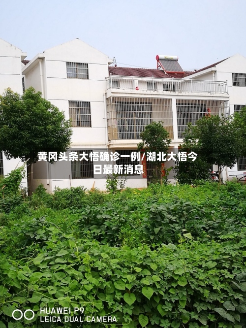 黄冈头条大悟确诊一例/湖北大悟今日最新消息
