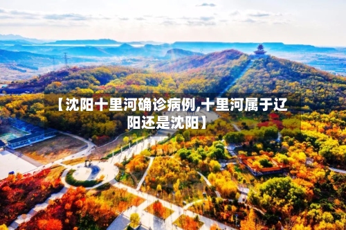 【沈阳十里河确诊病例,十里河属于辽阳还是沈阳】