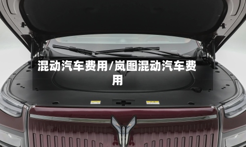 混动汽车费用/岚图混动汽车费用
