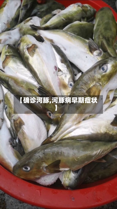 【确诊河豚,河豚病早期症状】-第2张图片