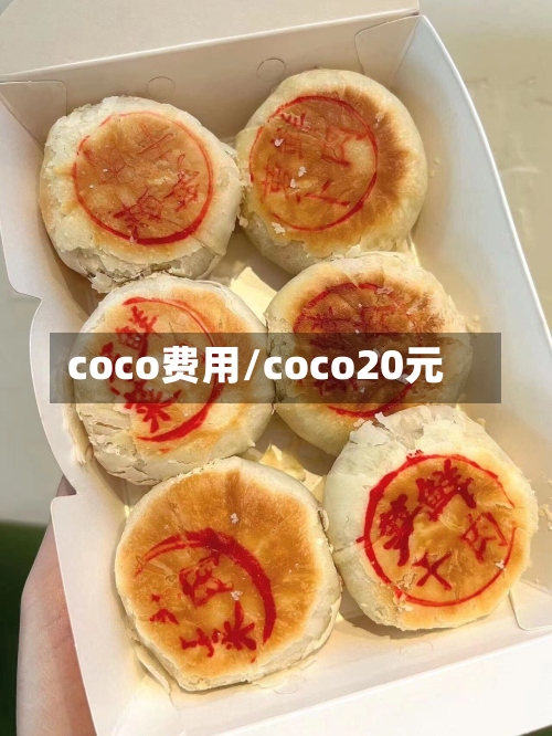 coco费用/coco20元-第3张图片
