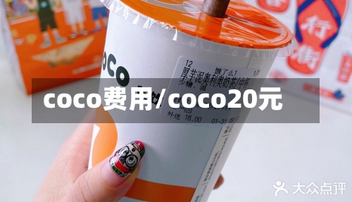coco费用/coco20元-第2张图片