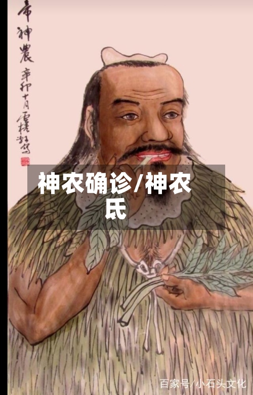 神农确诊/神农氐-第3张图片