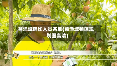 葛渔城确诊人员名单(葛渔城镇区规划图高清)-第3张图片