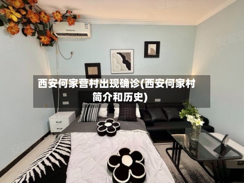 西安何家营村出现确诊(西安何家村简介和历史)