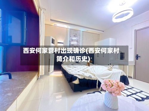 西安何家营村出现确诊(西安何家村简介和历史)-第2张图片
