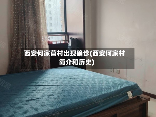 西安何家营村出现确诊(西安何家村简介和历史)-第3张图片