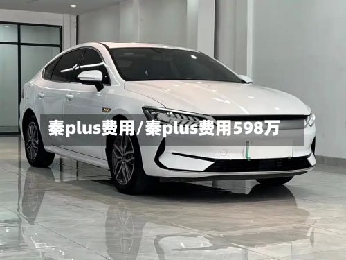 秦plus费用/秦plus费用598万