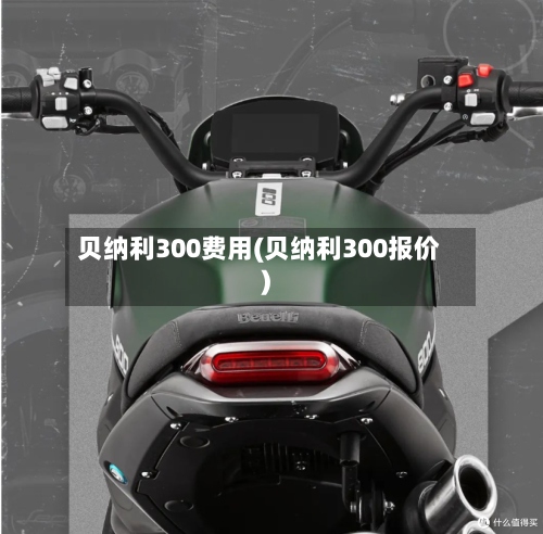 贝纳利300费用(贝纳利300报价)