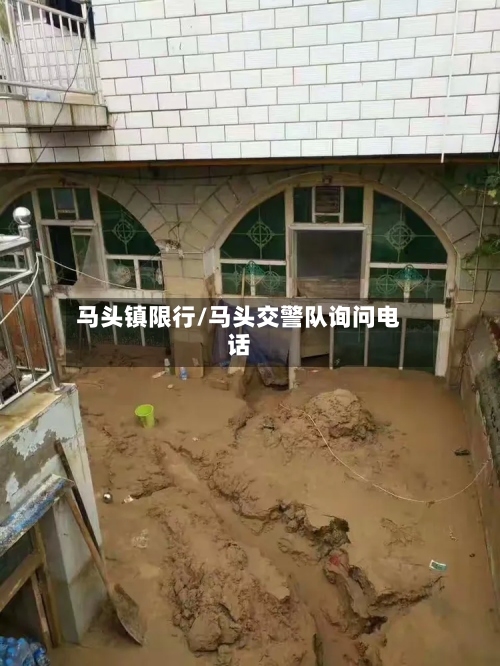 马头镇限行/马头交警队询问电话