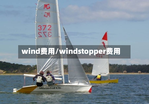 wind费用/windstopper费用