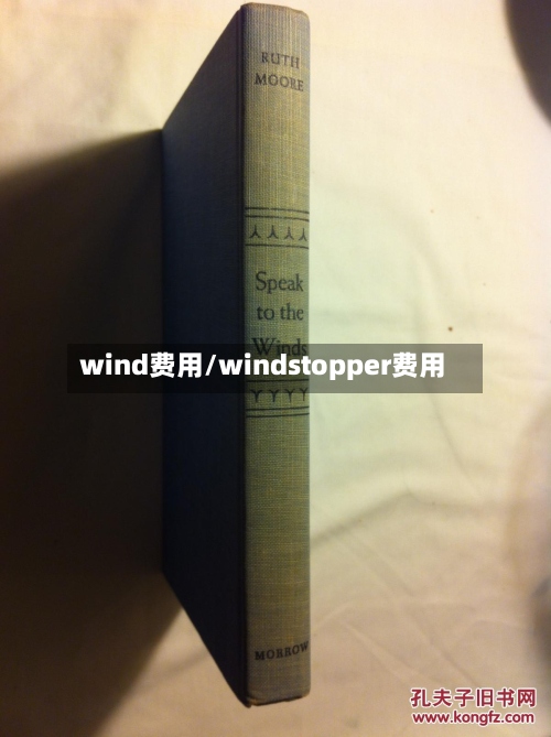 wind费用/windstopper费用-第2张图片