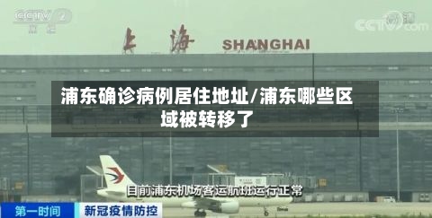 浦东确诊病例居住地址/浦东哪些区域被转移了