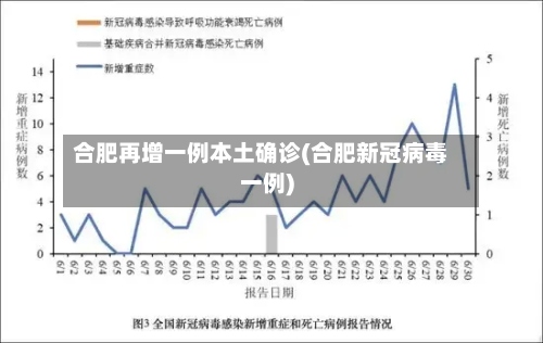 合肥再增一例本土确诊(合肥新冠病毒一例)
