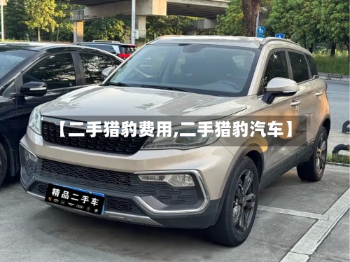 【二手猎豹费用,二手猎豹汽车】-第2张图片