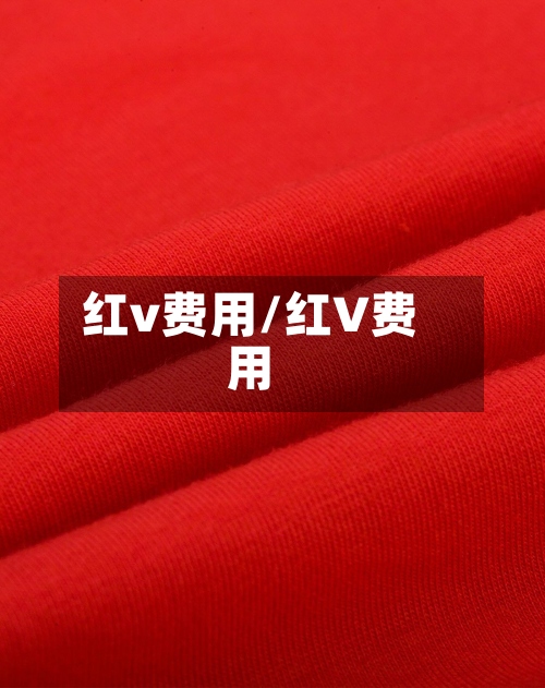 红v费用/红V费用-第2张图片