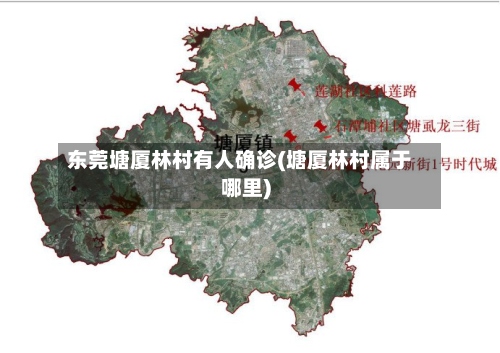 东莞塘厦林村有人确诊(塘厦林村属于哪里)-第2张图片