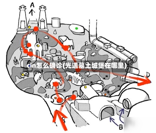 cin怎么确诊(光遇墓土城堡在哪里)