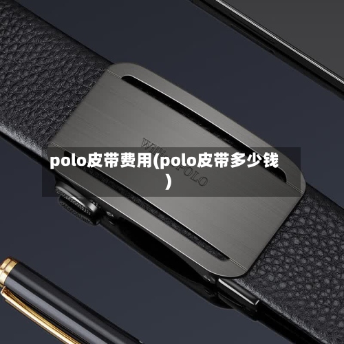 polo皮带费用(polo皮带多少钱)