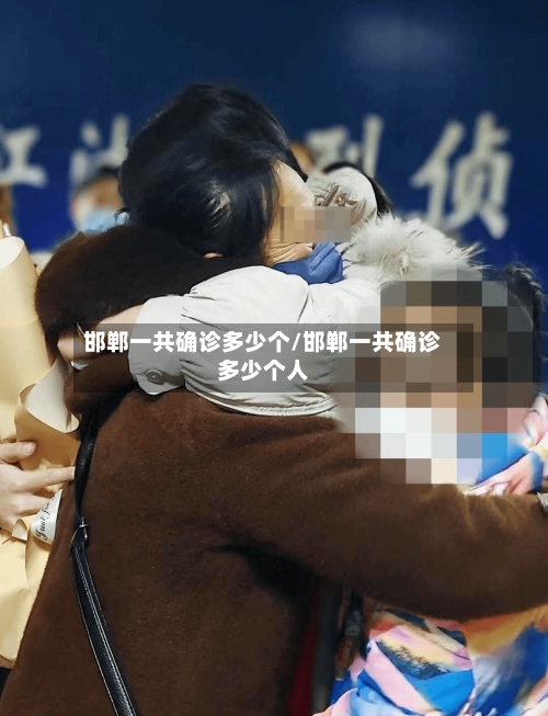 邯郸一共确诊多少个/邯郸一共确诊多少个人-第3张图片