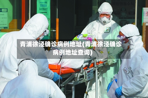 青浦徐泾确诊病例地址(青浦徐泾确诊病例地址查询)-第2张图片