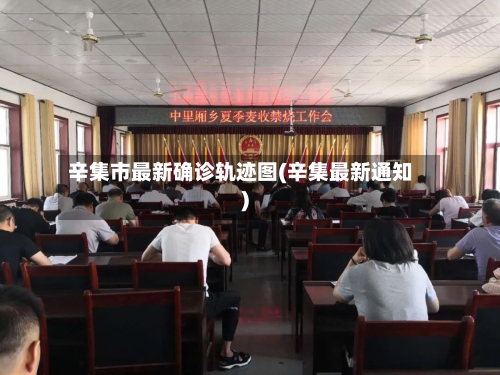 辛集市最新确诊轨迹图(辛集最新通知)