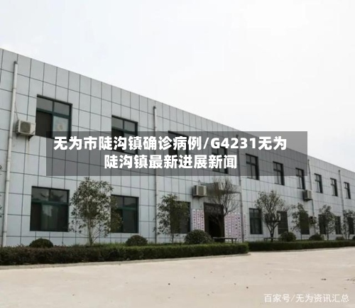 无为市陡沟镇确诊病例/G4231无为陡沟镇最新进展新闻-第2张图片