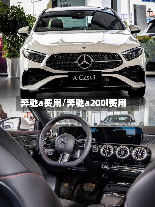 奔驰a费用/奔驰a200l费用