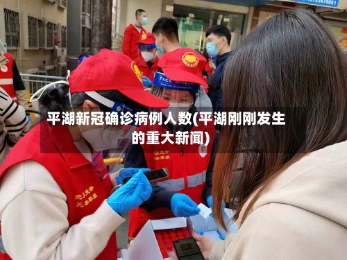 平湖新冠确诊病例人数(平湖刚刚发生的重大新闻)-第2张图片