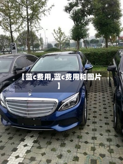 【蓝c费用,蓝c费用和图片】
