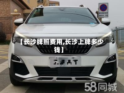 【长沙牌照费用,长沙上牌多少钱】-第2张图片