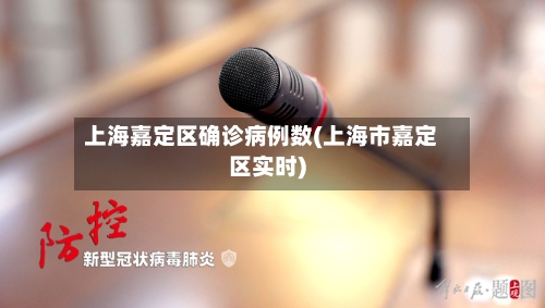上海嘉定区确诊病例数(上海市嘉定区实时)-第2张图片