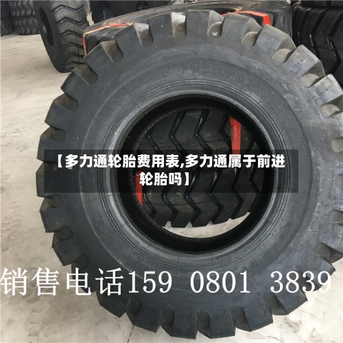 【多力通轮胎费用表,多力通属于前进轮胎吗】-第2张图片