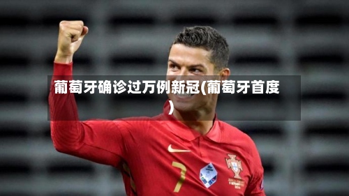 葡萄牙确诊过万例新冠(葡萄牙首度)