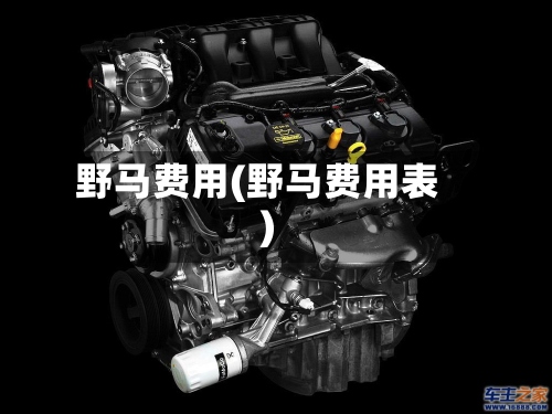 野马费用(野马费用表)-第2张图片