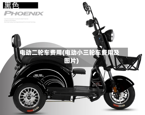 电动二轮车费用(电动小三轮车费用及图片)