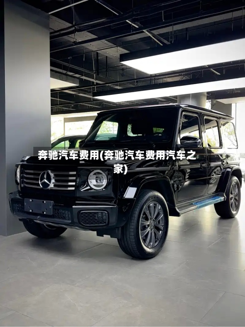 奔驰汽车费用(奔驰汽车费用汽车之家)