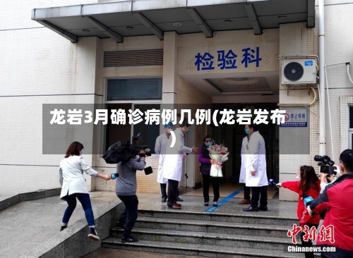 龙岩3月确诊病例几例(龙岩发布)