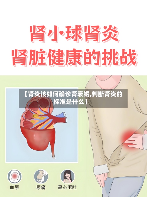 【肾炎该如何确诊肾衰竭,判断肾炎的标准是什么】