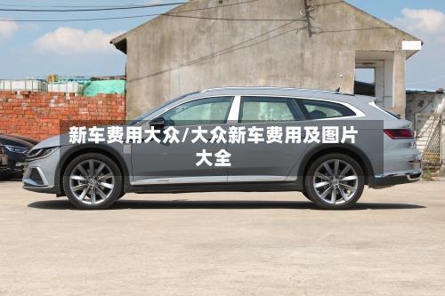 新车费用大众/大众新车费用及图片大全-第2张图片