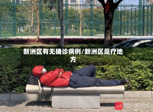 新洲区有无确诊病例/新洲区是疗地方-第2张图片