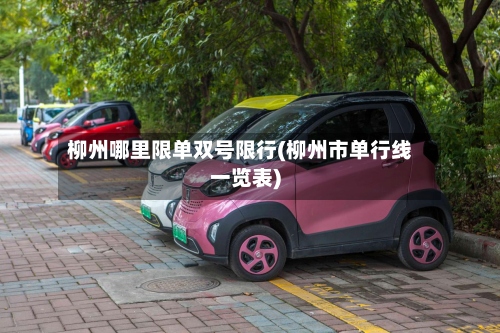 柳州哪里限单双号限行(柳州市单行线一览表)-第2张图片