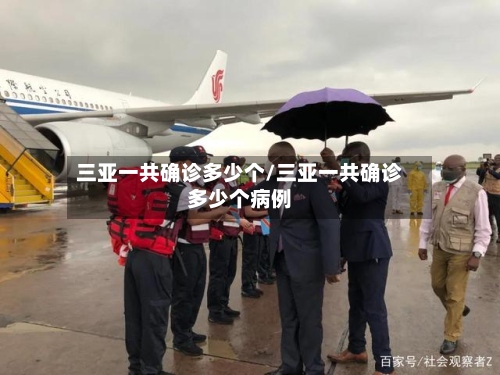 三亚一共确诊多少个/三亚一共确诊多少个病例