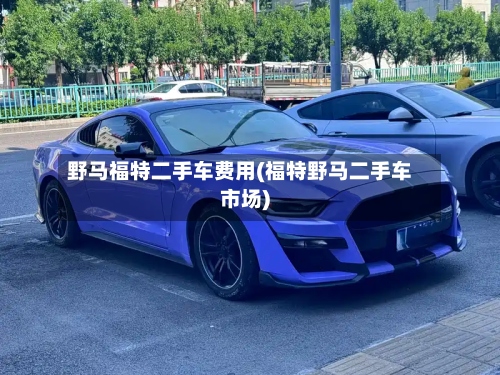 野马福特二手车费用(福特野马二手车市场)