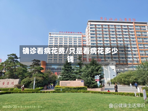 确诊看病花费/只是看病花多少钱