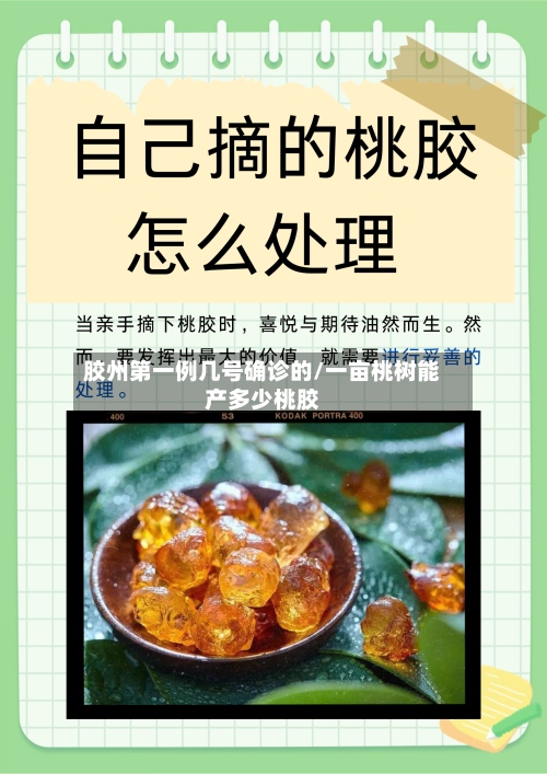 胶州第一例几号确诊的/一亩桃树能产多少桃胶-第2张图片