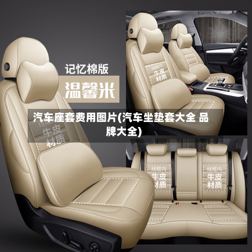 汽车座套费用图片(汽车坐垫套大全 品牌大全)-第2张图片