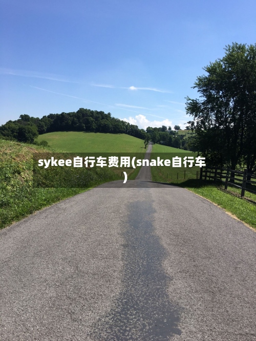 sykee自行车费用(snake自行车)