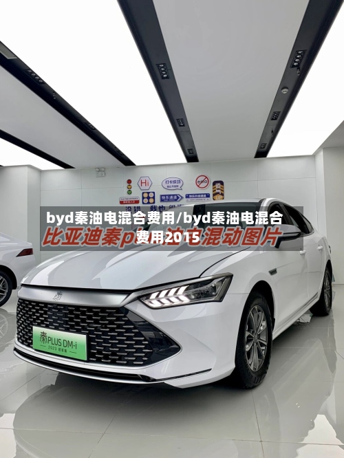 byd秦油电混合费用/byd秦油电混合费用2015