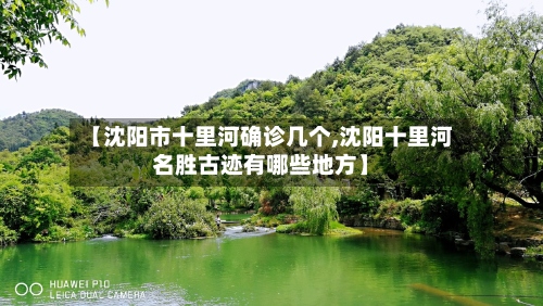 【沈阳市十里河确诊几个,沈阳十里河名胜古迹有哪些地方】-第2张图片